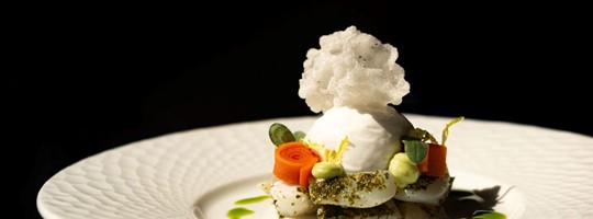 Business Club bijeenkomst 27 januari